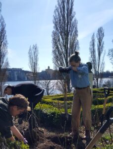 Rosplantering på Waldemarsudde_The-Green-Guide-2022