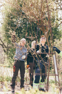 roskurs-jonsered_The-Green-Guide-2022